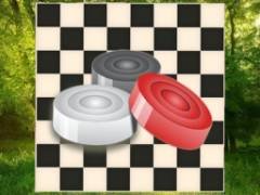 クラシックチェッカー：フォレスト - crazygames