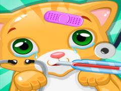 猫の医者：私の猫を救ってください - crazygames
