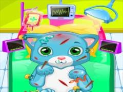 ASMR 猫の診療所 - crazygames
